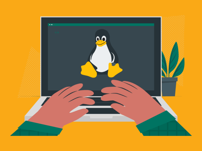 Image of a person typing linux commands on laptop