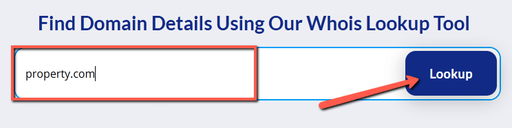 Step 2 - Enter the domain and select Lookup